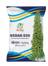 रिसर्च हा. एरंडी केदार – 555